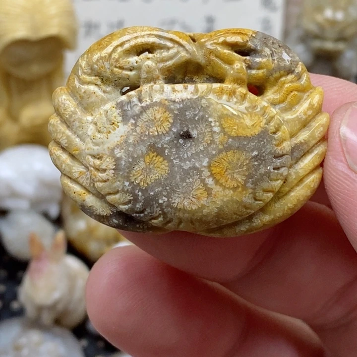 颈饰未镶嵌硅化珊瑚（珊瑚玉）有瑕