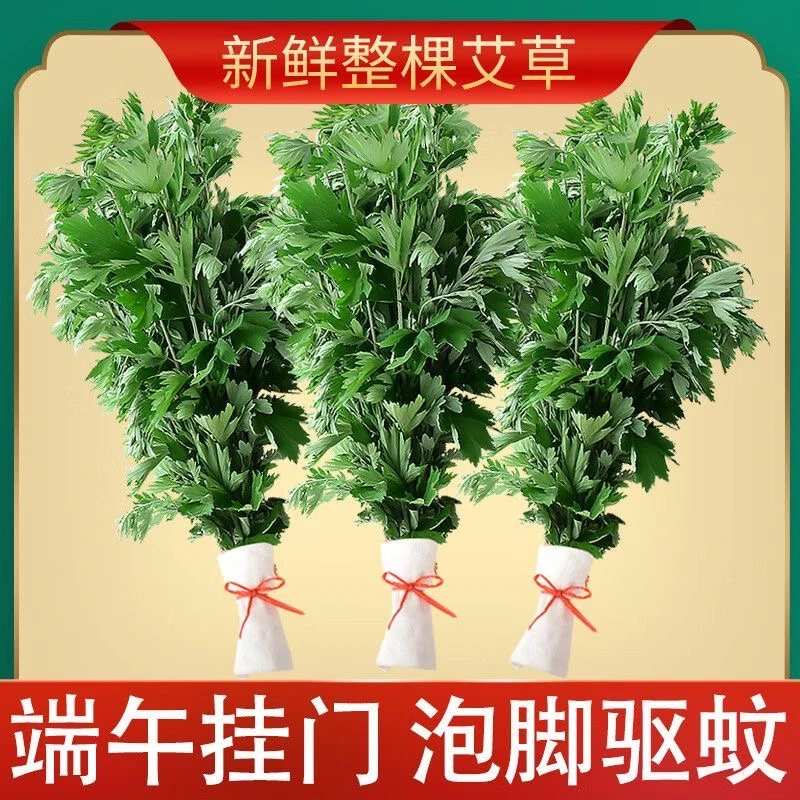 端午节新鲜艾草挂门整颗束青艾叶花束带杆干艾草家用泡脚药包洗澡