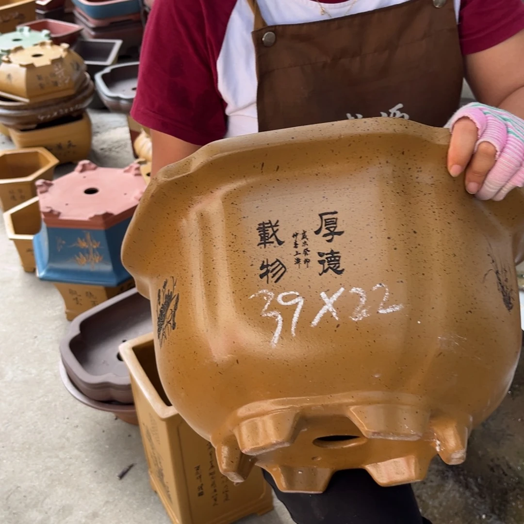 紫砂花盆盆景艺术