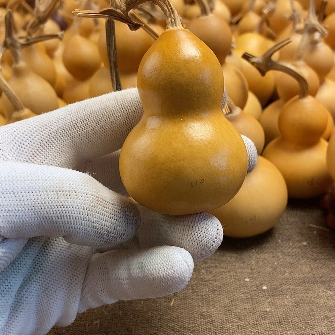 文玩葫芦 完美主义者 慎拍110