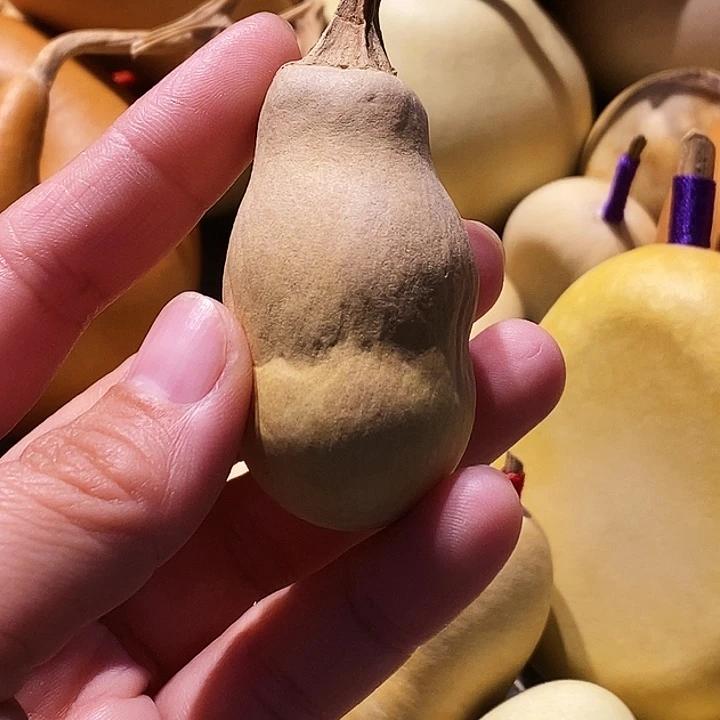 何***明好了你先吃饭了嘛乖