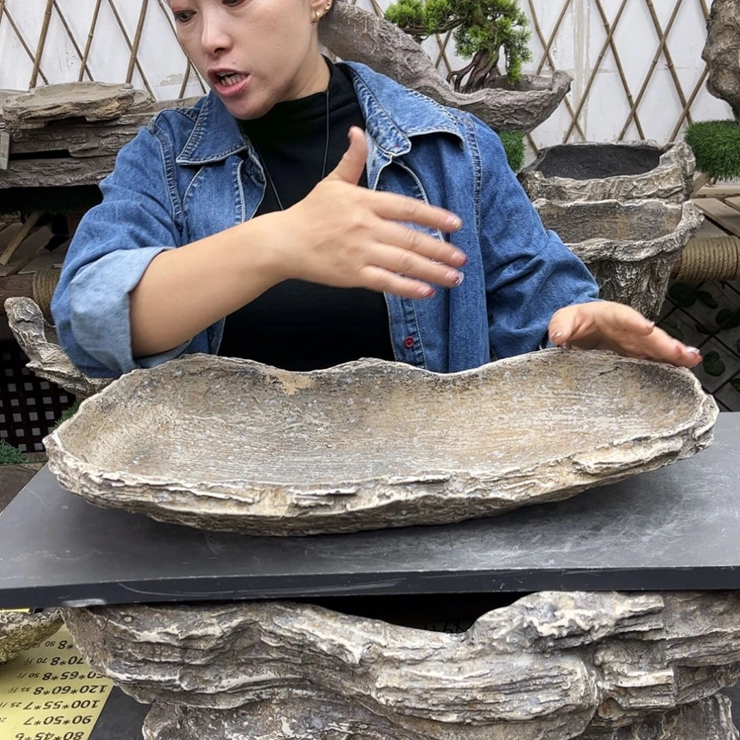 盆景盆花盆鱼缸盆景w50