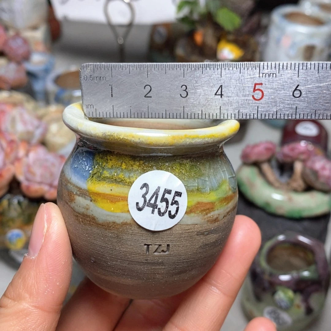 花盆拍5送一个小礼物