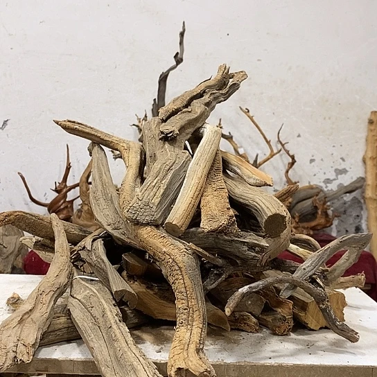 五***公柏木我们都是好孩子