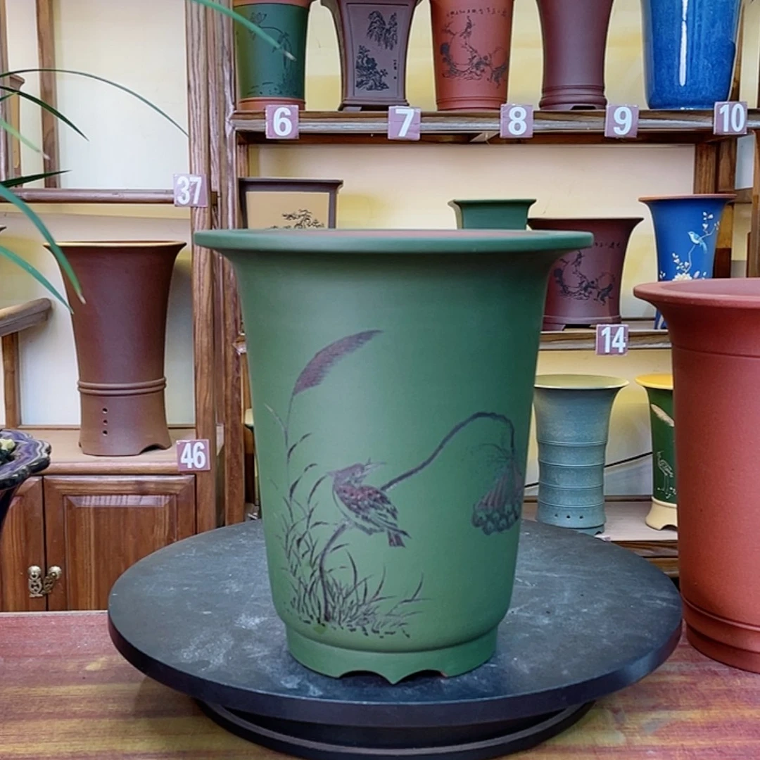 【闪购商品】紫砂花盆兰花455665555255888566