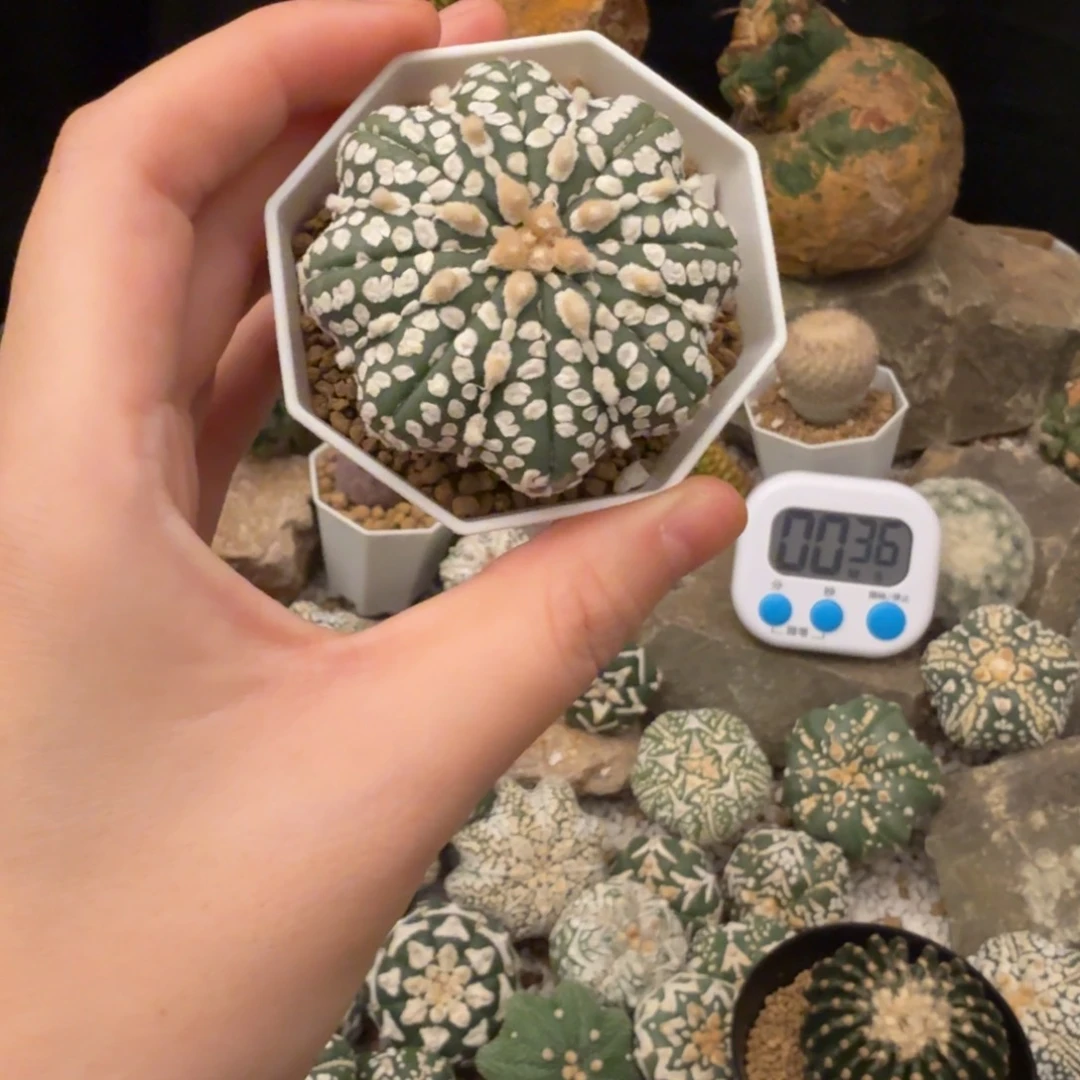 分***乐海星哈哈哈哈哈哈哈哈