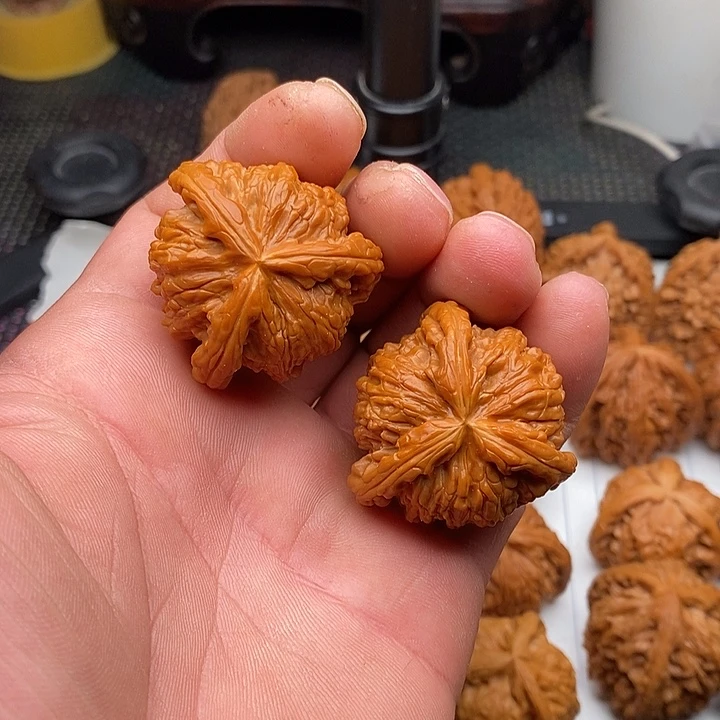 核桃手串/手链拼接白狮子1