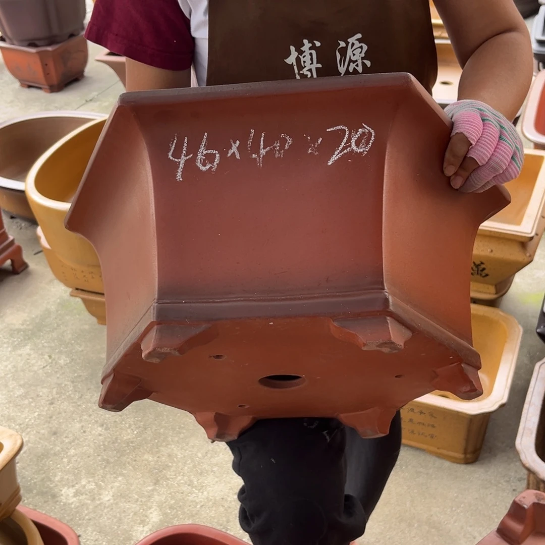 紫砂花盆盆景艺术