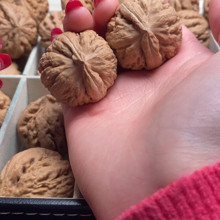 我***糖霸王龙全品无修一刀没动