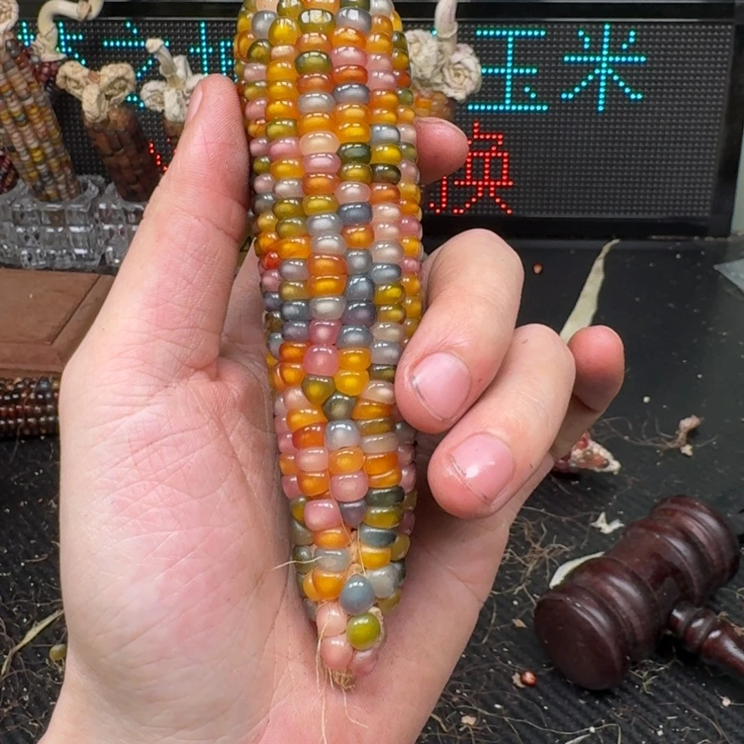 柏香籽/百香籽吊坠念*