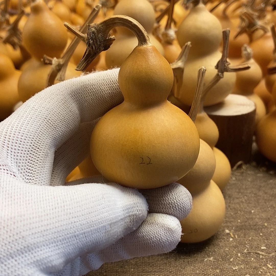 文玩葫芦 完美主义者 慎拍22