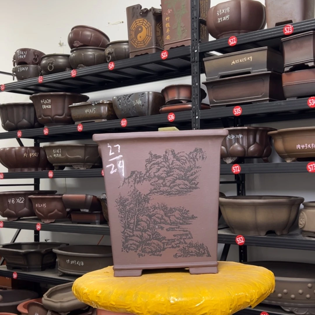 紫砂花盆独***雪呜呜呜呜呜