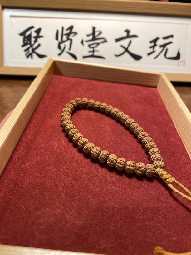 2025新籽头茬老纯血老树王小金刚手持