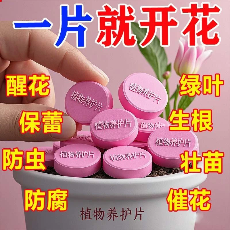 植物通用型营养缓释片肥料氮磷绿植种花养花花肥家用果蔬盆家庭