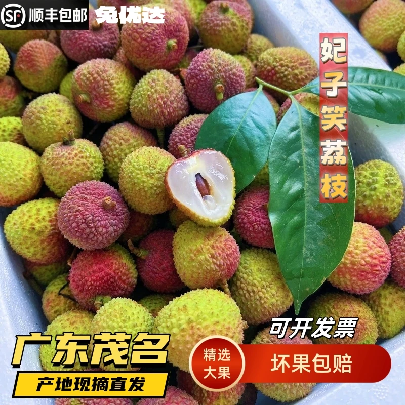 广东妃子笑荔枝产地直发当季新鲜现摘鲜甜多汁肉厚核小