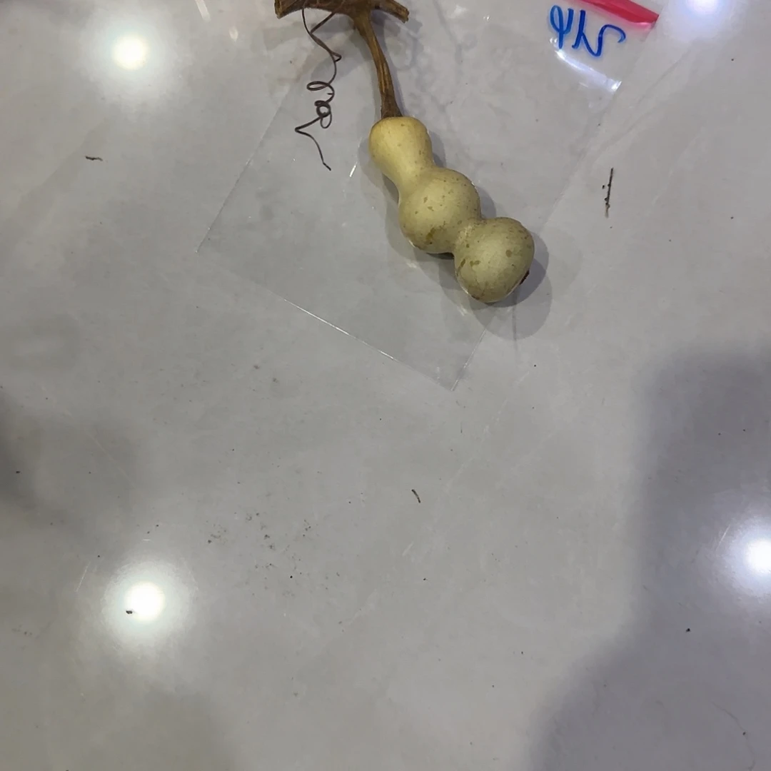 石***头青皮不包成青皮不包成