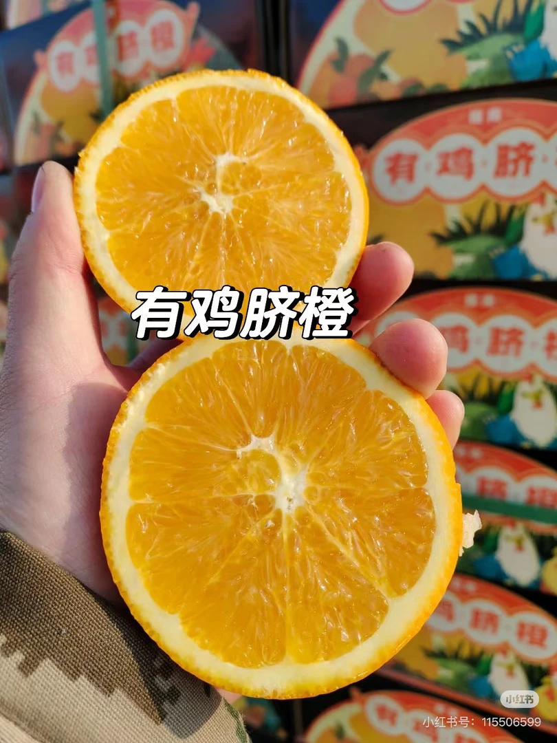 （配送到家）赣南有鸡脐橙甘甜多汁约5斤