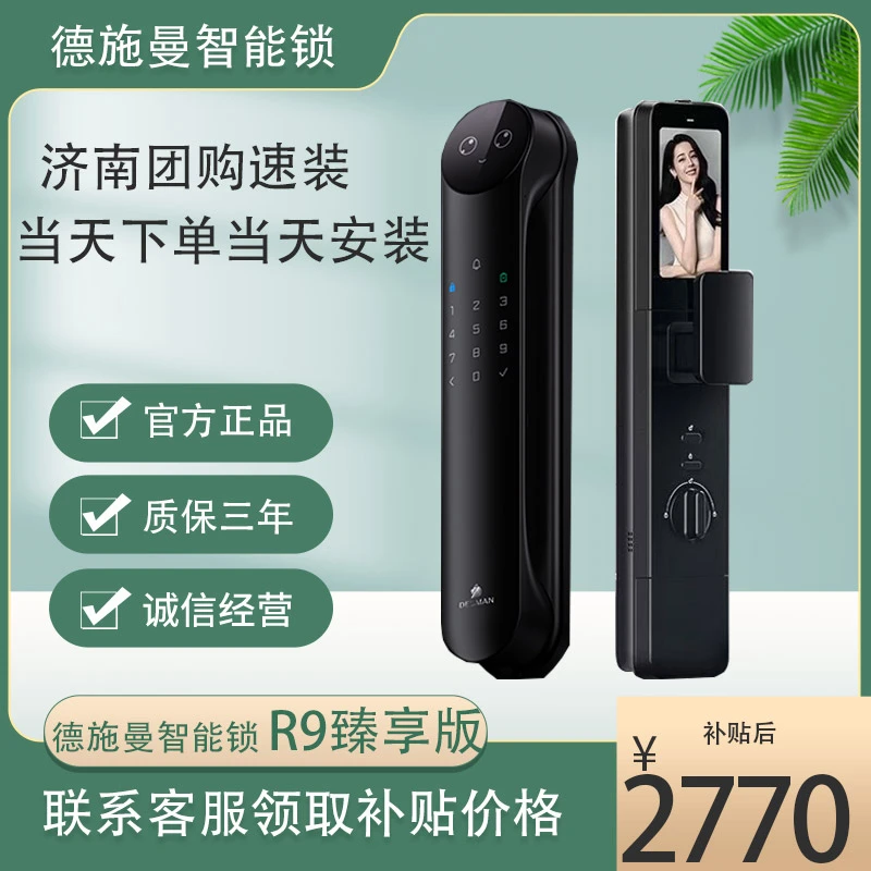 德施曼智能锁麒麟R9臻享版