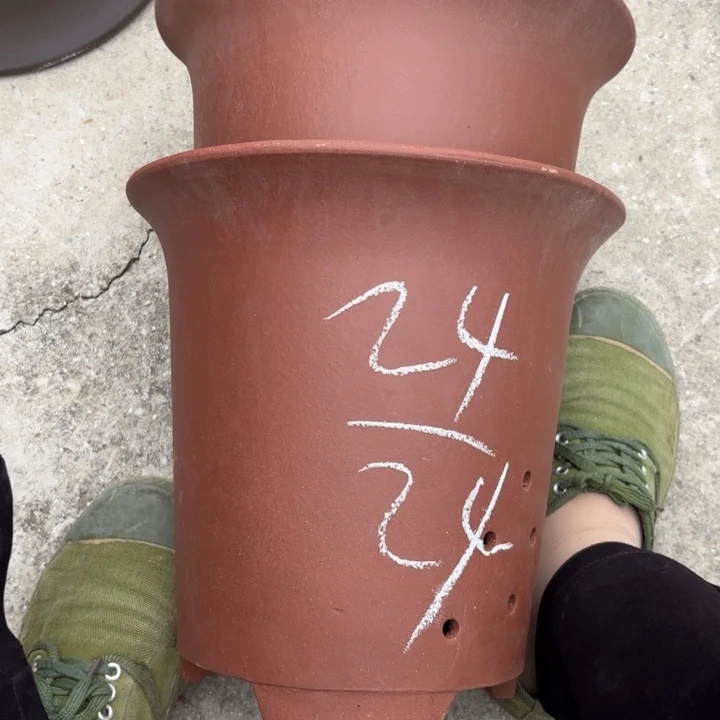 紫砂花盆紫砂的花