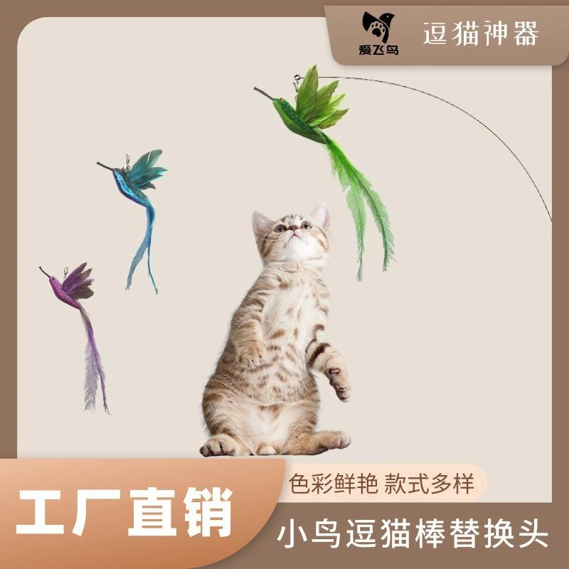 爱飞鸟爆款蜂鸟替换头羽毛小鸟逗猫棒配件带铃铛耐咬自嗨猫猫玩