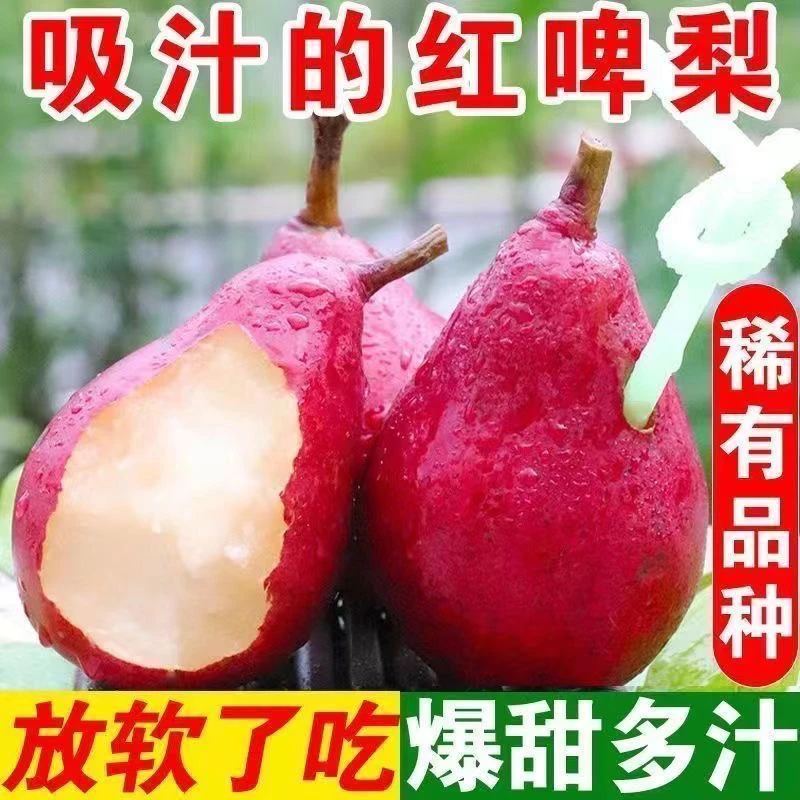新鲜采摘正宗高山红啤梨当季时令水果软糯香甜多汁