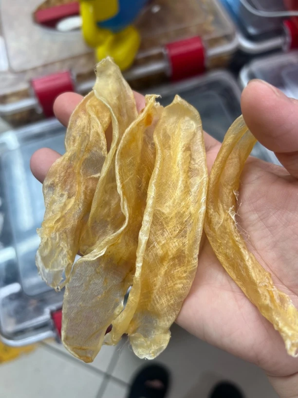 230头佐罗胶鱼胶胶质丰富滋补佳品可炖汤炖奶