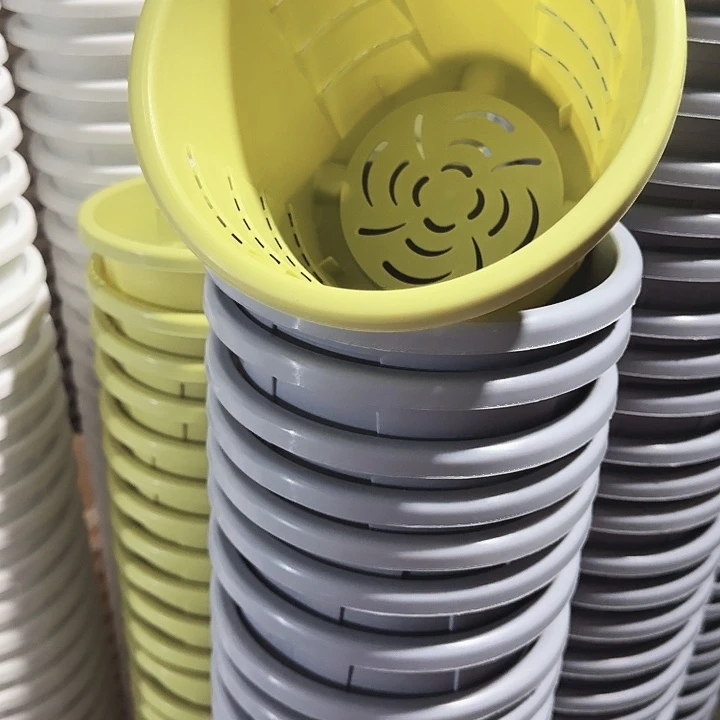 编号501果绿无托6个