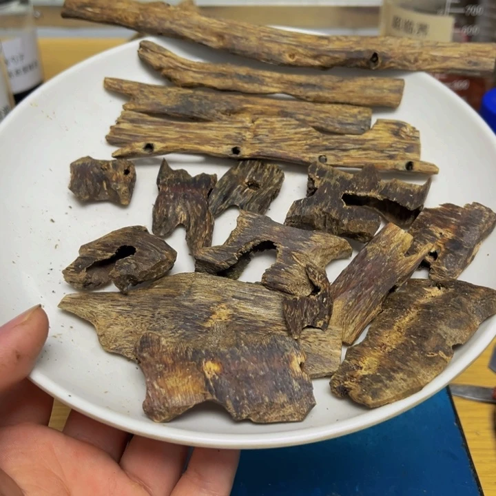 沉香沉香碎屑天*陆河加乌身圆叶