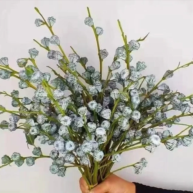 【钻石加利果】用一束花迎接2025年钻石尤加利老果氛感可干花尤加利