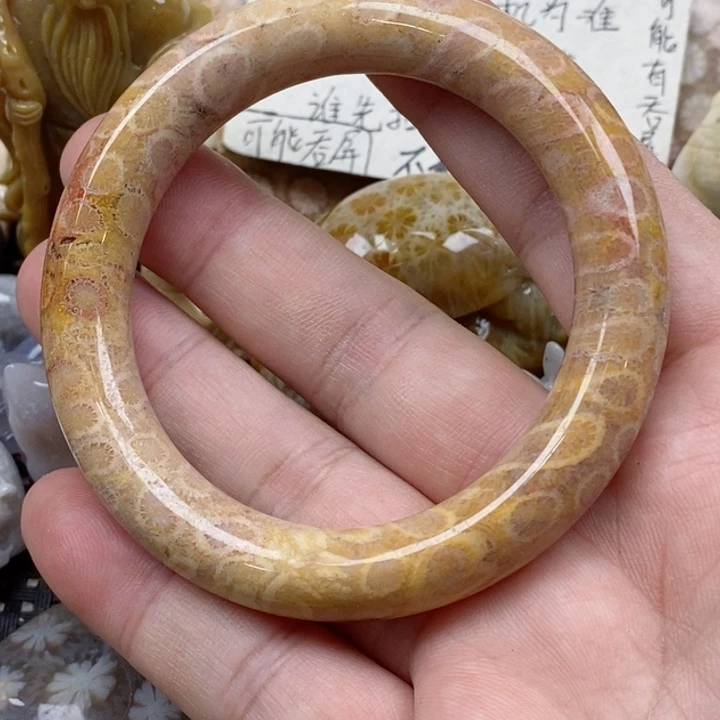 颈饰未镶嵌硅化珊瑚(珊瑚玉)有瑕 54