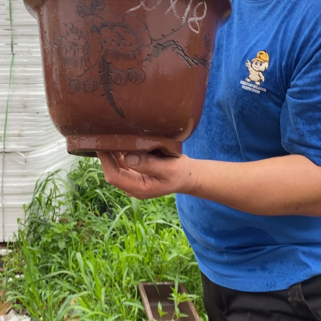 紫砂花盆紫砂壶多少人在