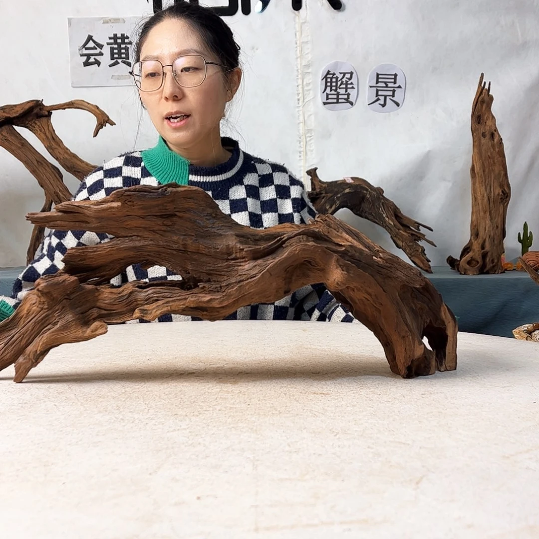 沉木造景寄居蟹景