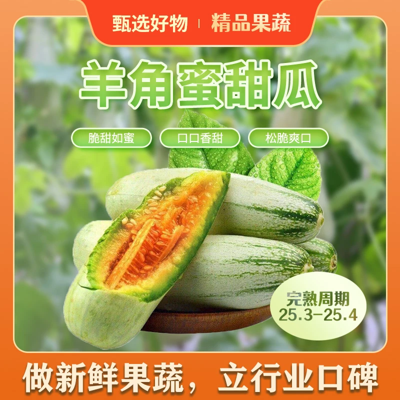 【酒窝书记专属】山东羊角蜜甜瓜新鲜脆甜多汁应季水果