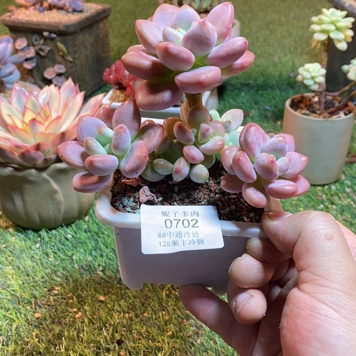0702啊啊啊啊啊啊啊啊啊啊啊啊