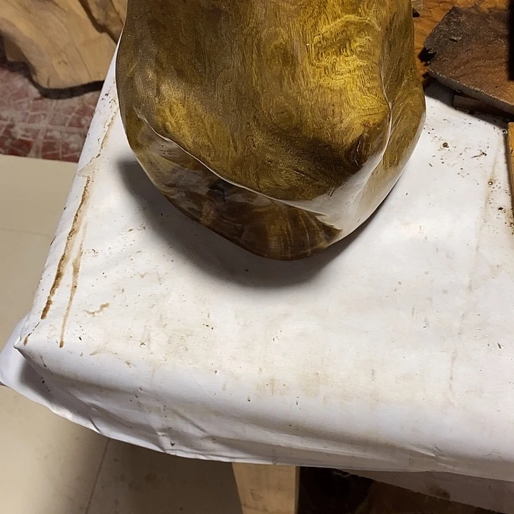 华***仔金丝楠木小叶楠木金