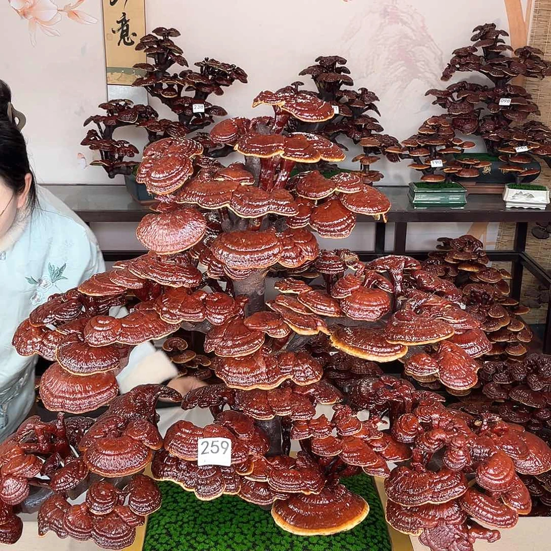 万事如意88888888259