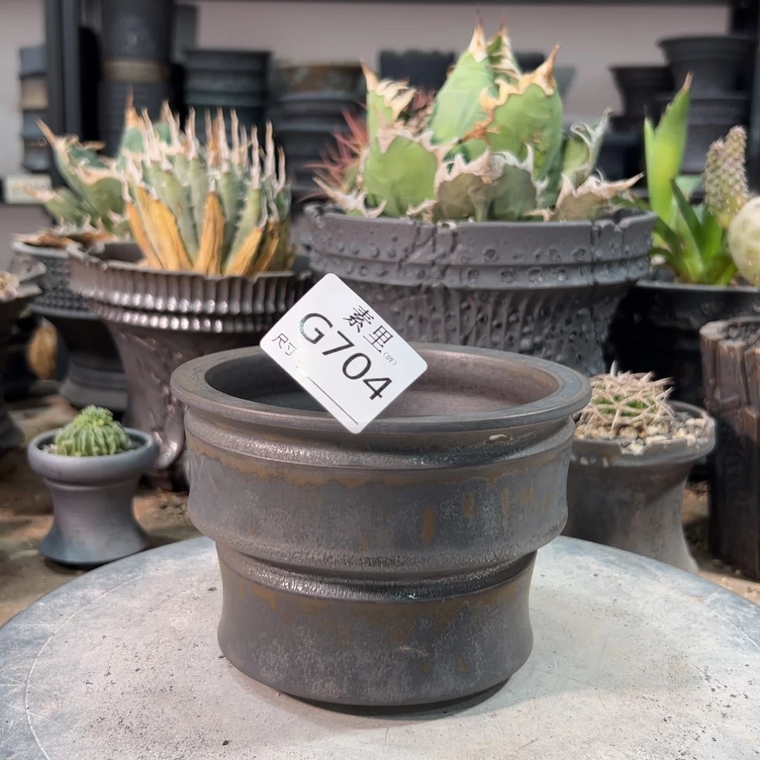 景德镇素里手工内口11.5高10