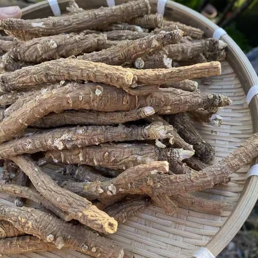 云南现收山货特产–––沙菇