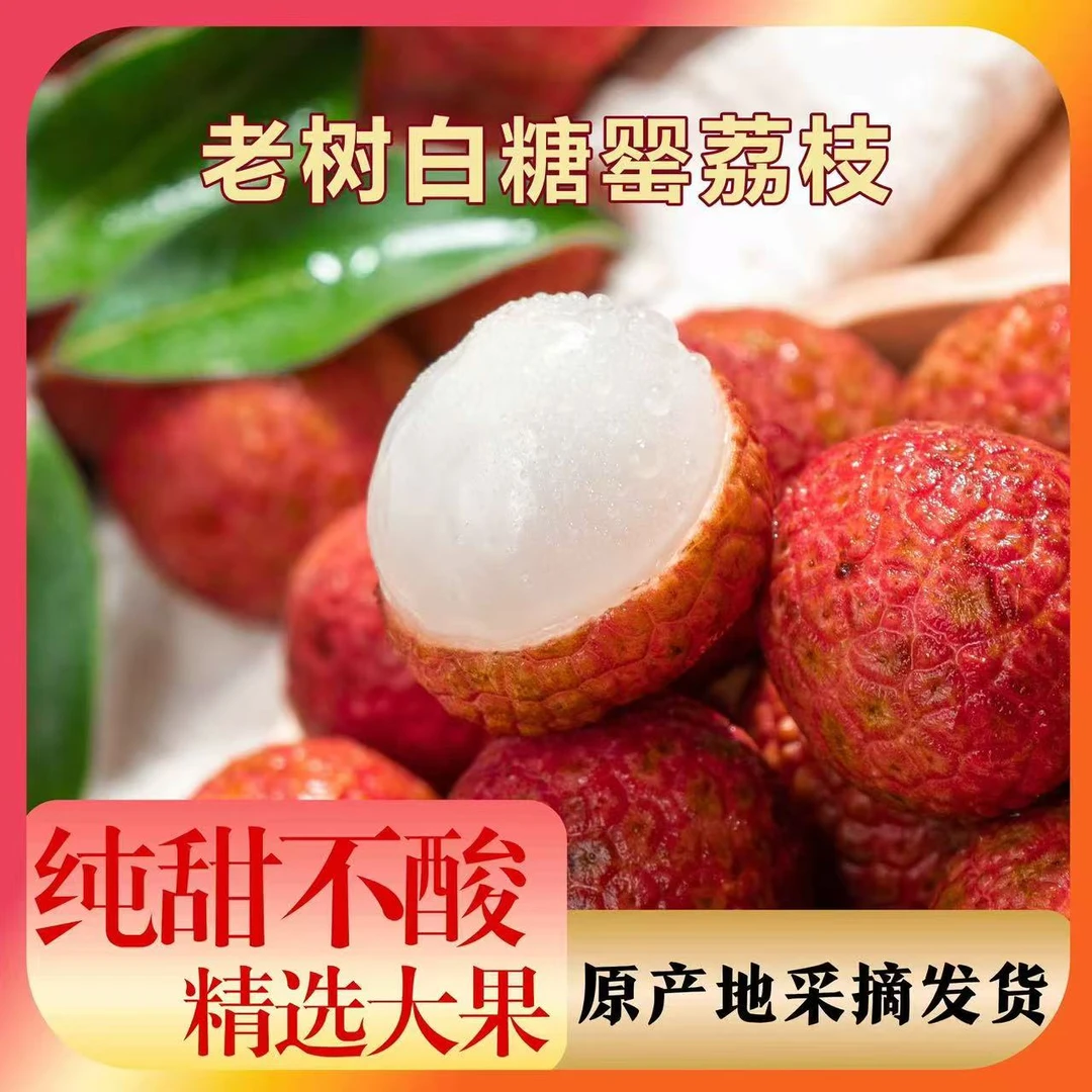 （次日达）广东茂名高州白糖罂荔枝新鲜现摘核小肉厚4.5斤荔枝同城送广东省