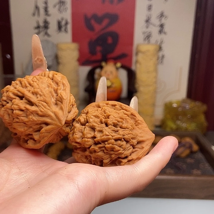 扶***摇橄榄核手串/手链fffggggg