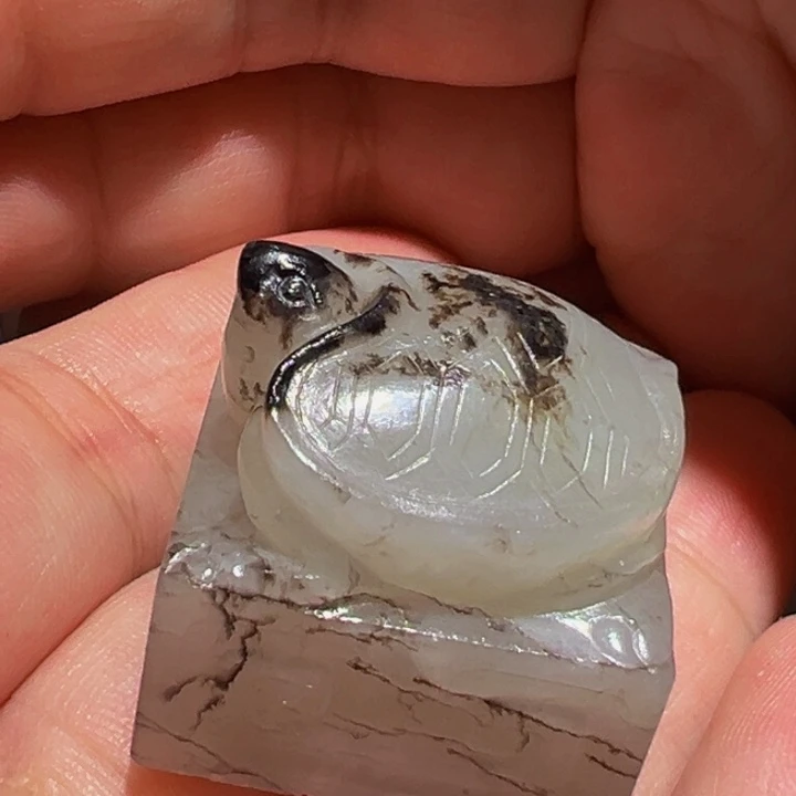 来***祥勒子勒子勒子勒子