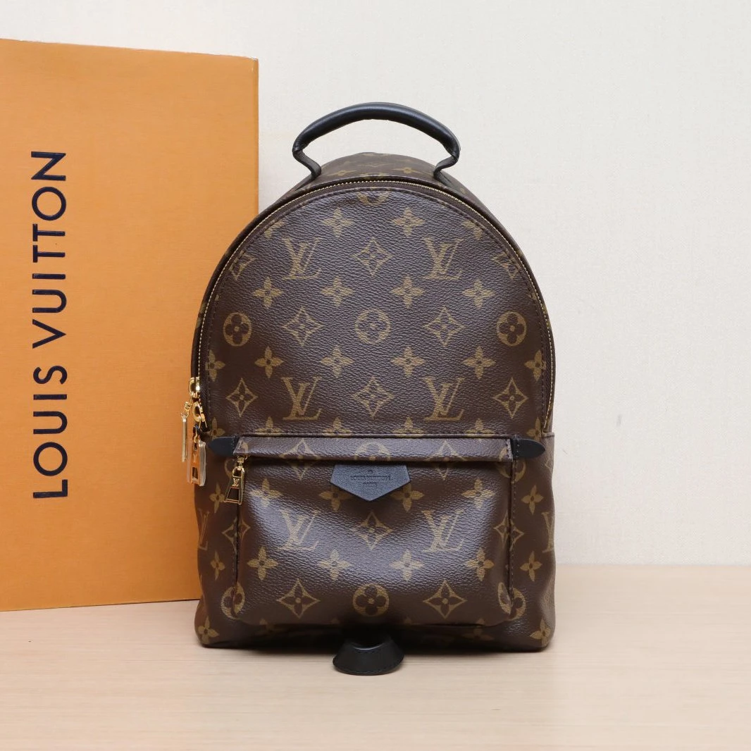 99新 LouisVuitton/路易威登 小花攀攀 小书包 小号 22 老花 芯片