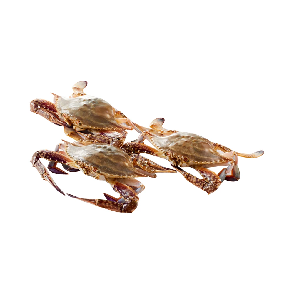【鲜活】盒马梭子蟹 3-5/只 500g (单只2-3两）