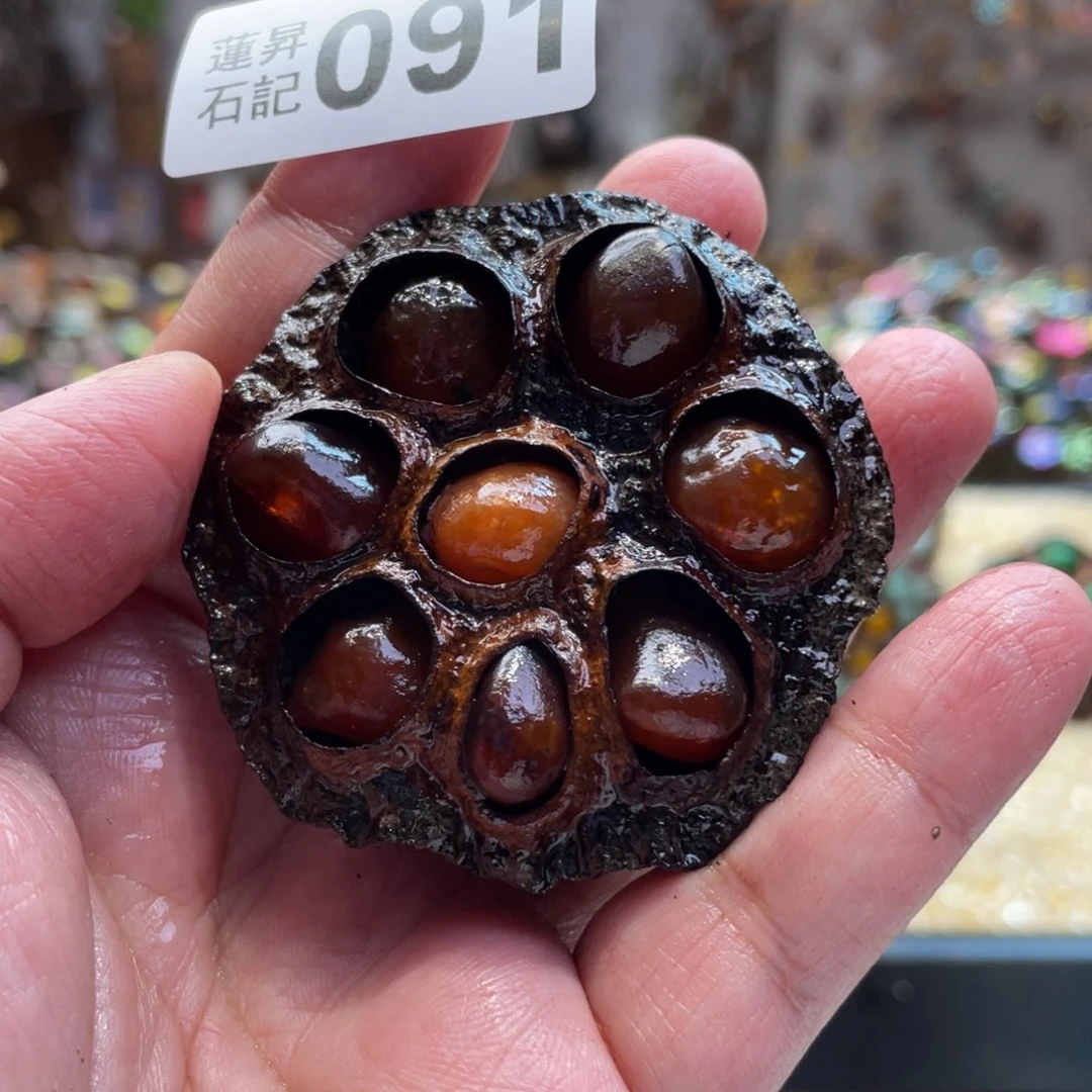 核桃木/黑胡桃（胡桃木）091