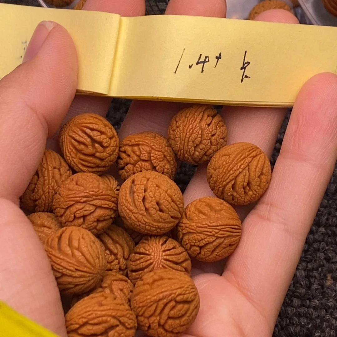 秦岭山脉龙纹桃核 17