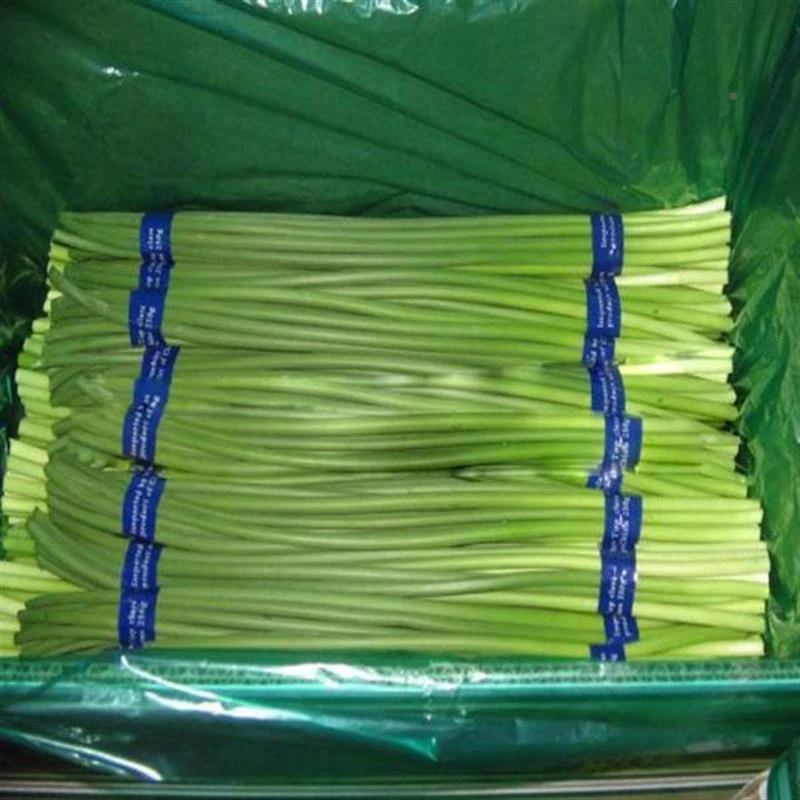 23年白帽蒜苔新鲜切头去尾净菜当季蔬菜农家鲜嫩蒜薹蒜苗生鲜推荐