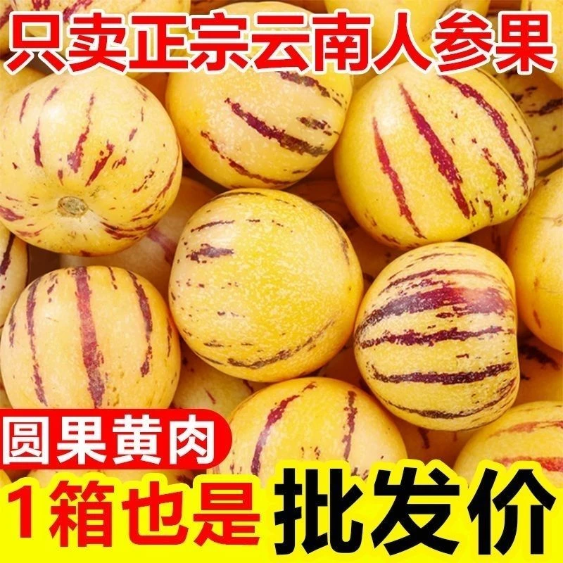云南石林人参果新鲜应季果黄肉圆果清甜多汁皮薄大果