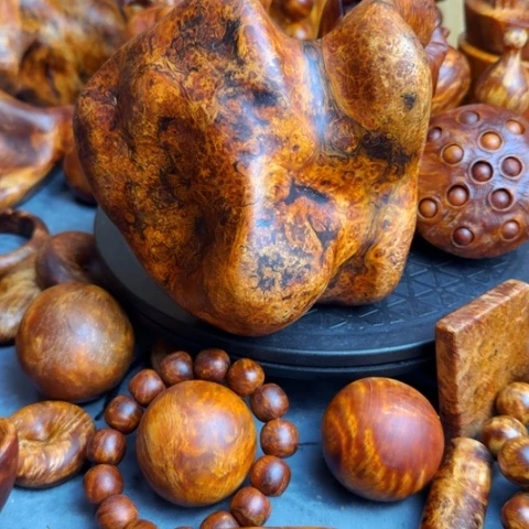 松木（琥珀木）其他