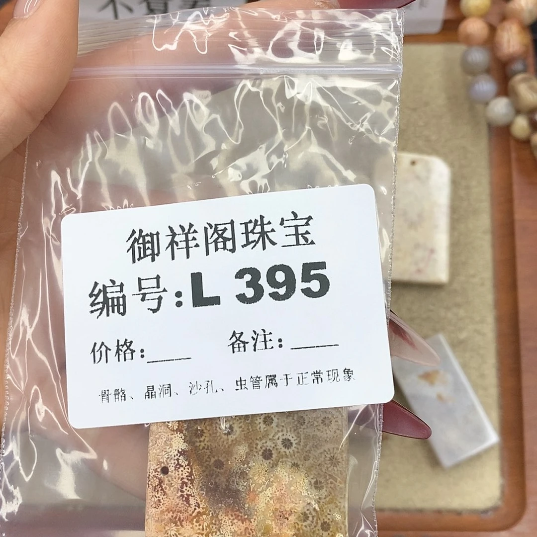 硅化珊瑚（珊瑚玉）颈饰未镶嵌ㅤ**