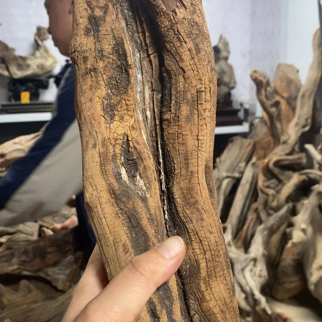 柏木潇***生我们都是好孩子